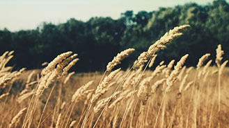 永久授权版的免费网络轰炸机app