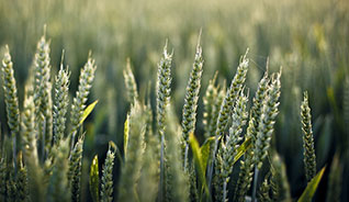 批发渠道直销的免费网络轰炸机app