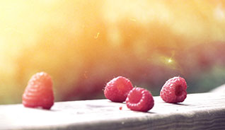 手机号验证码轰炸平台